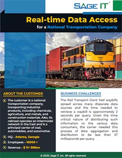 real time data access for a national transportation company case study