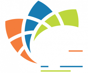 Sage IT NMSDC Certified Company