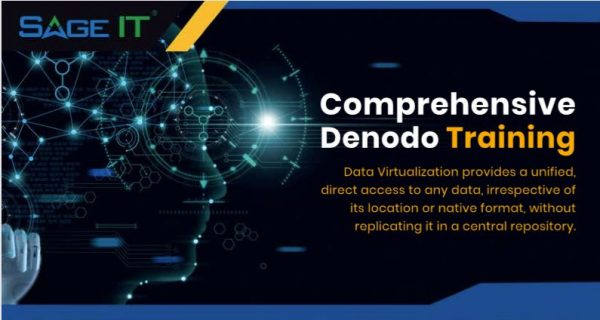 denodo data virtualization training brochure
