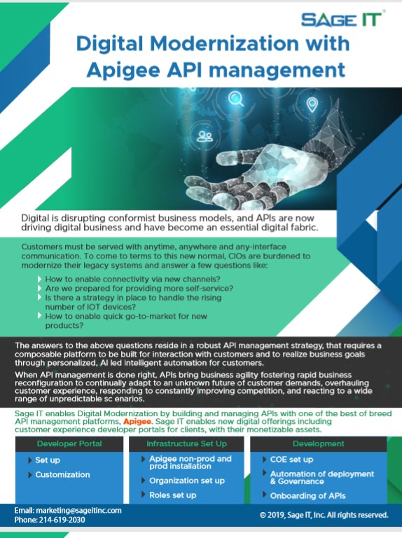 digital modernization with api management brochure