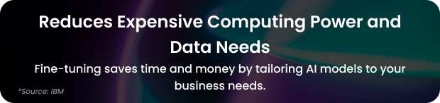 Custom Model Training and Fine-Tuning