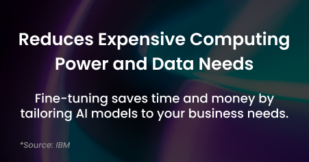 Custom Model Training & Fine-Tuning