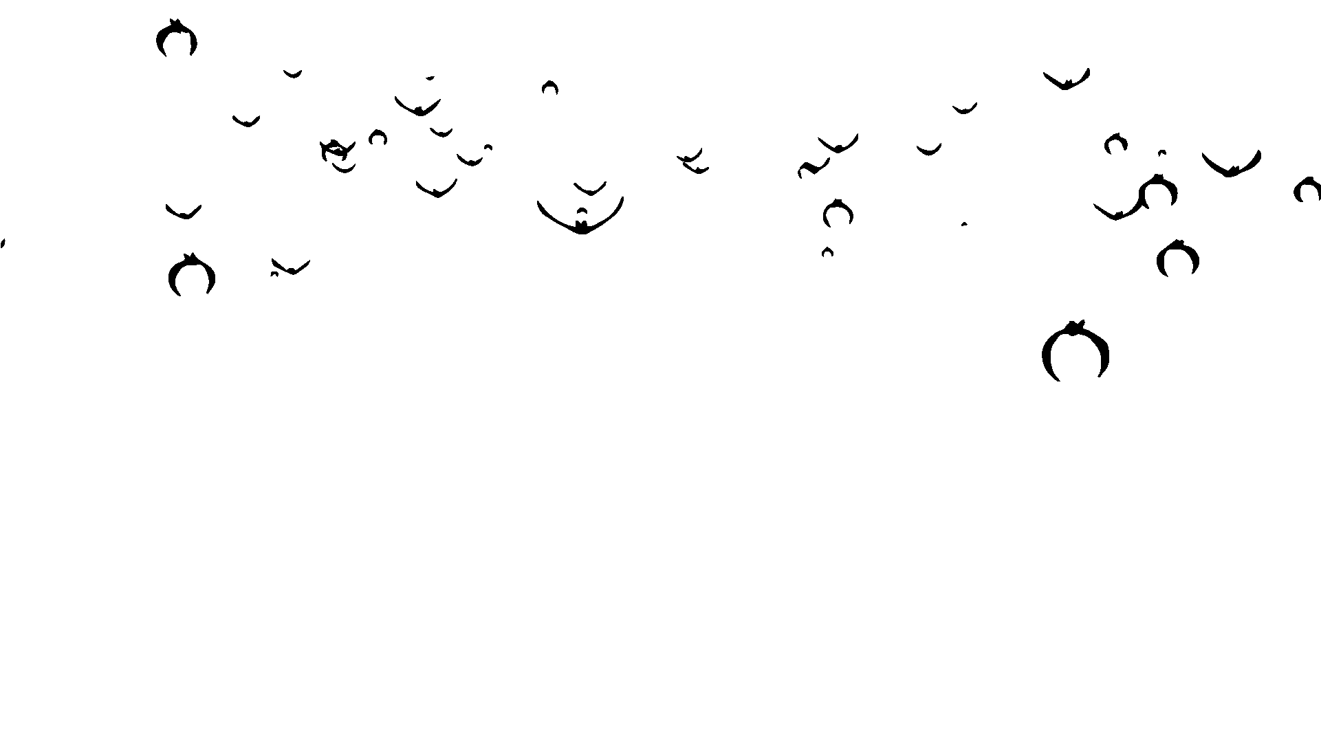 bat_animation bat_animation