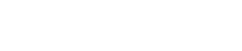 Sage IT